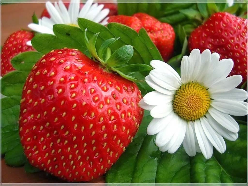 Клубника и ромашки