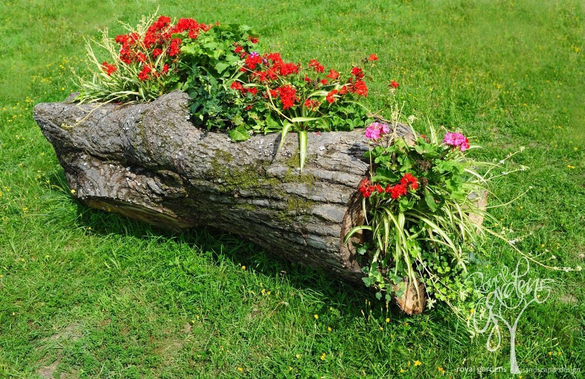 Клумба в бревне