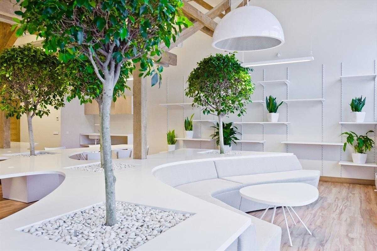 Greenery Озеленение интерьера