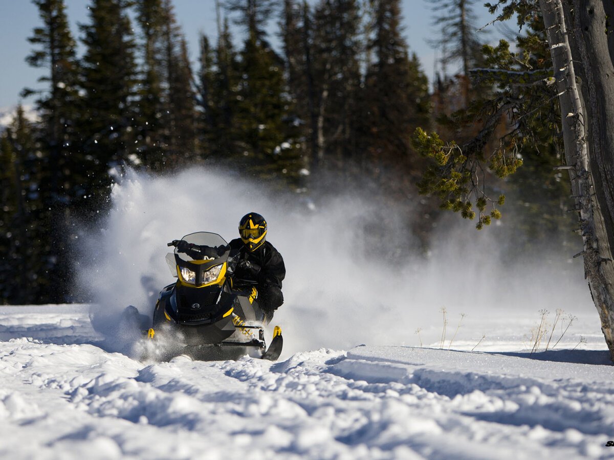 Ski-Doo снегоход в лесу