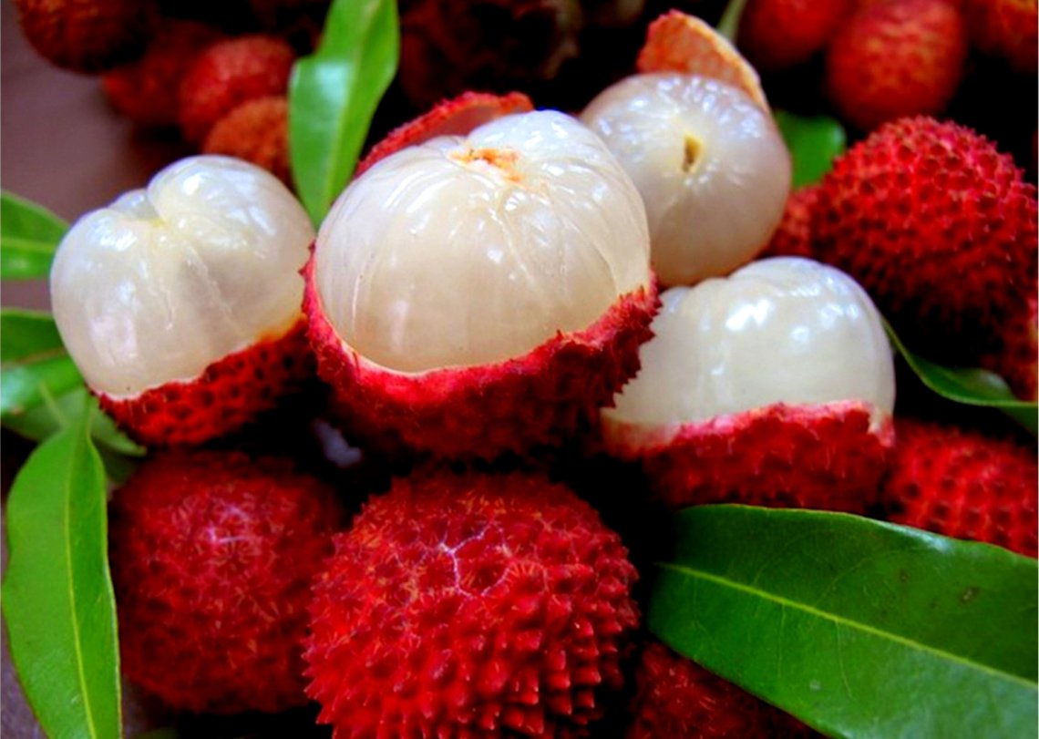 Lychee фрукт