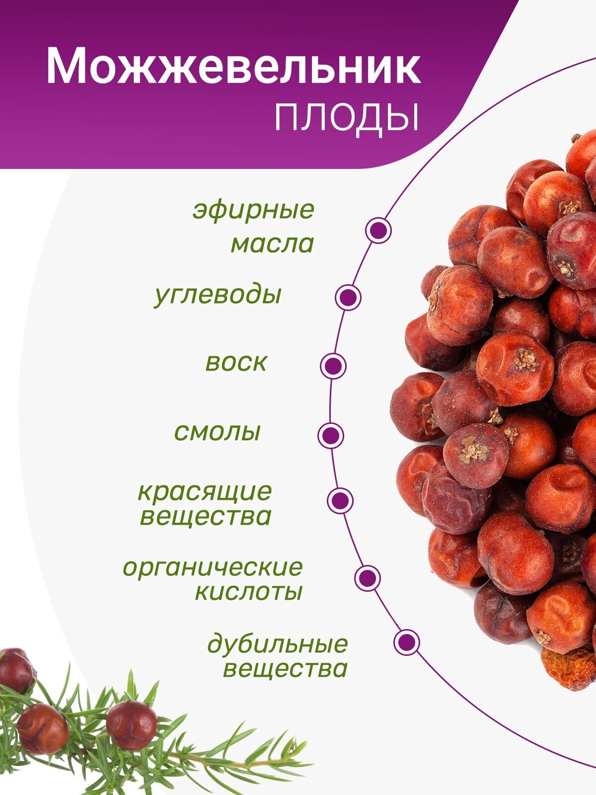 Плоды можжевельника хим состав