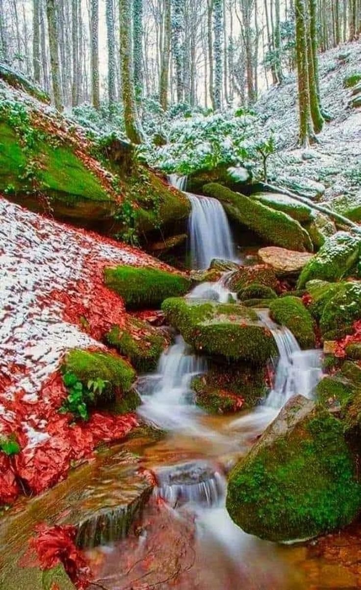 Завораживающее море