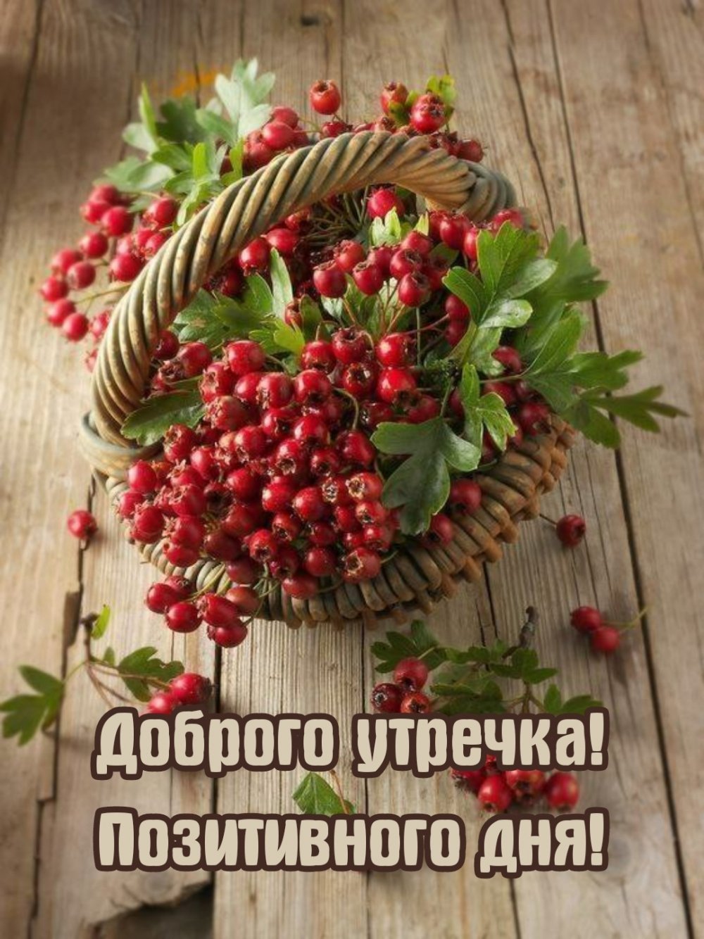 Цветы фрукты ягоды