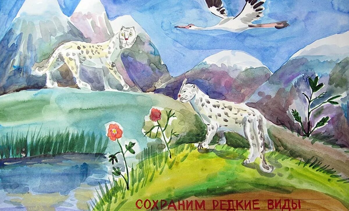 Мир заповедной природы конкурс
