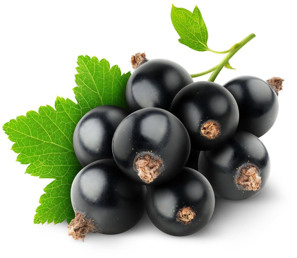 Black Currant черная смородина