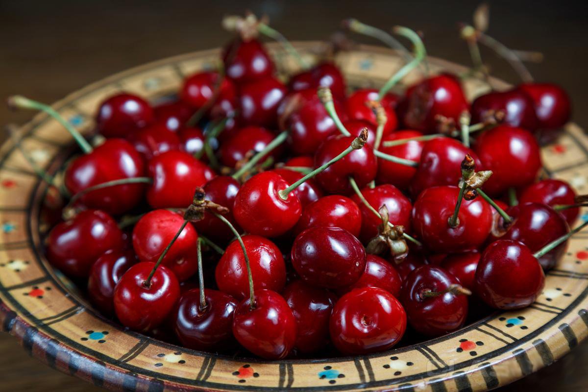 Вишня Загорьевская