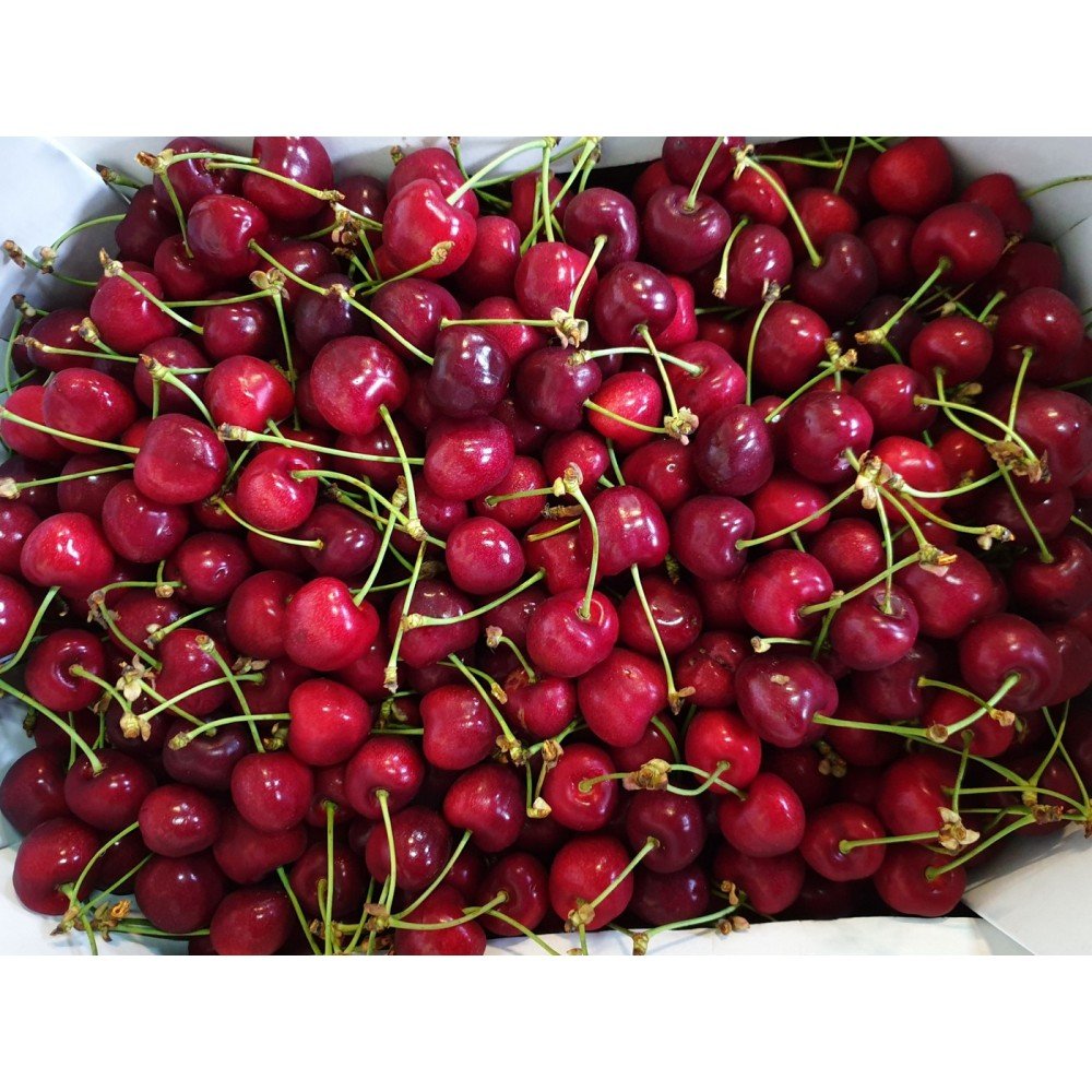 Мелитопольская черешня