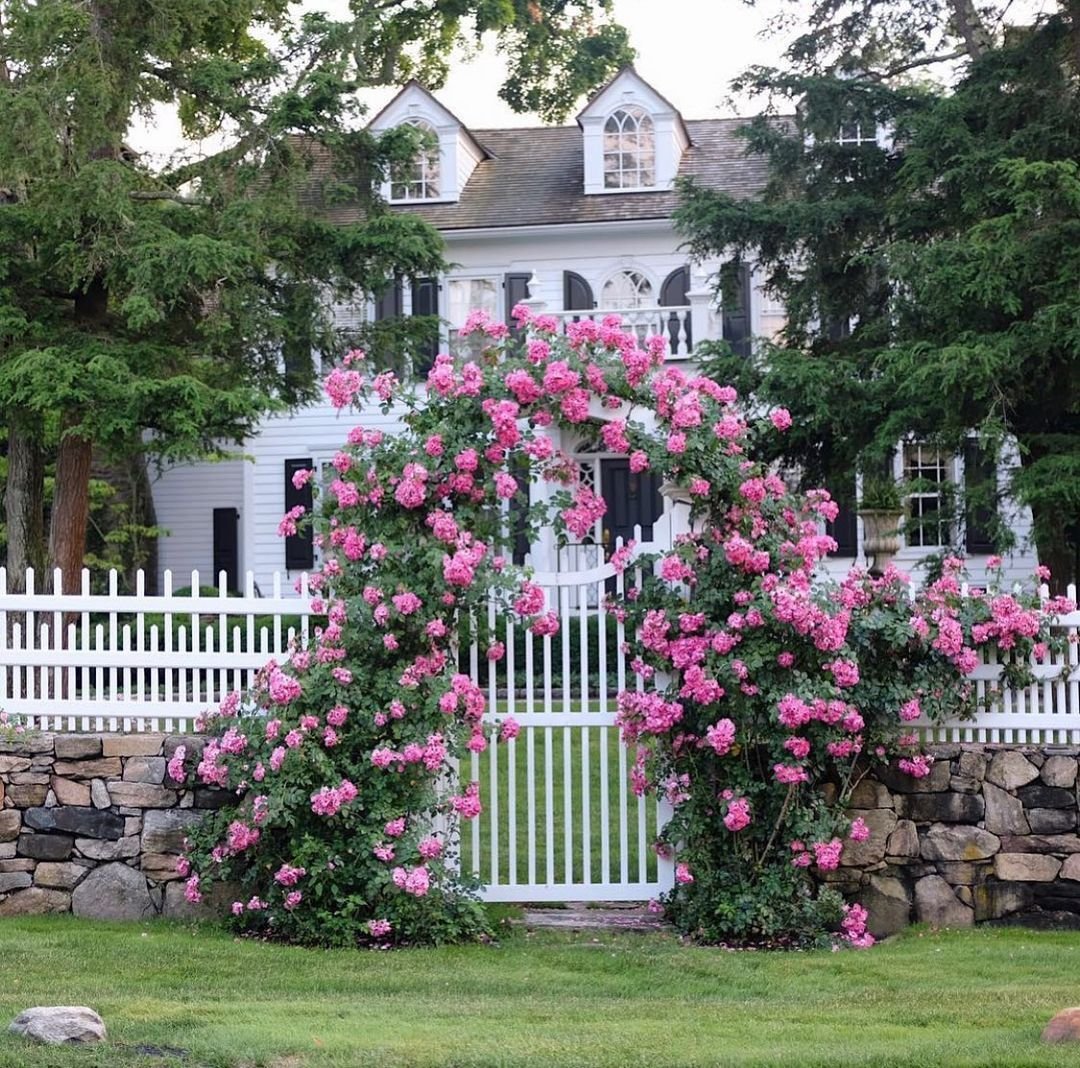 Коттедж Роуз Cottage Rose
