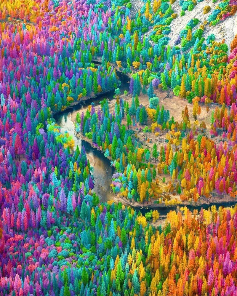Рамзи Масри художник