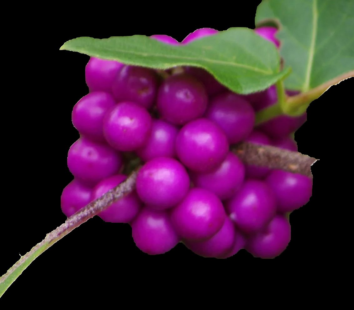 +3