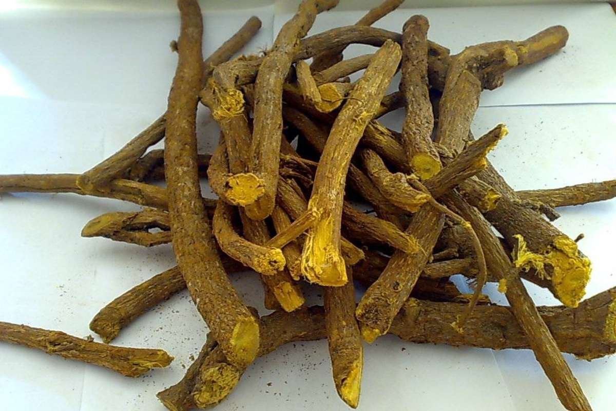 Корень солодки (Licorice roots)