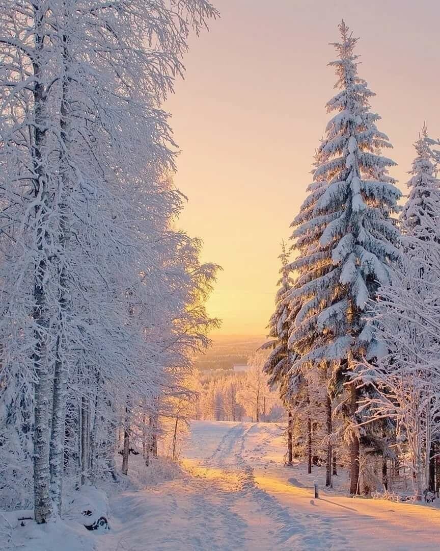 Зима пейзаж