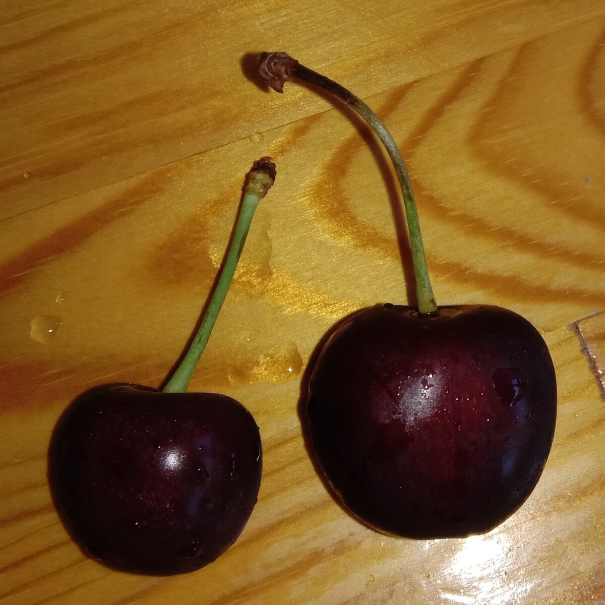 Черешня Речица