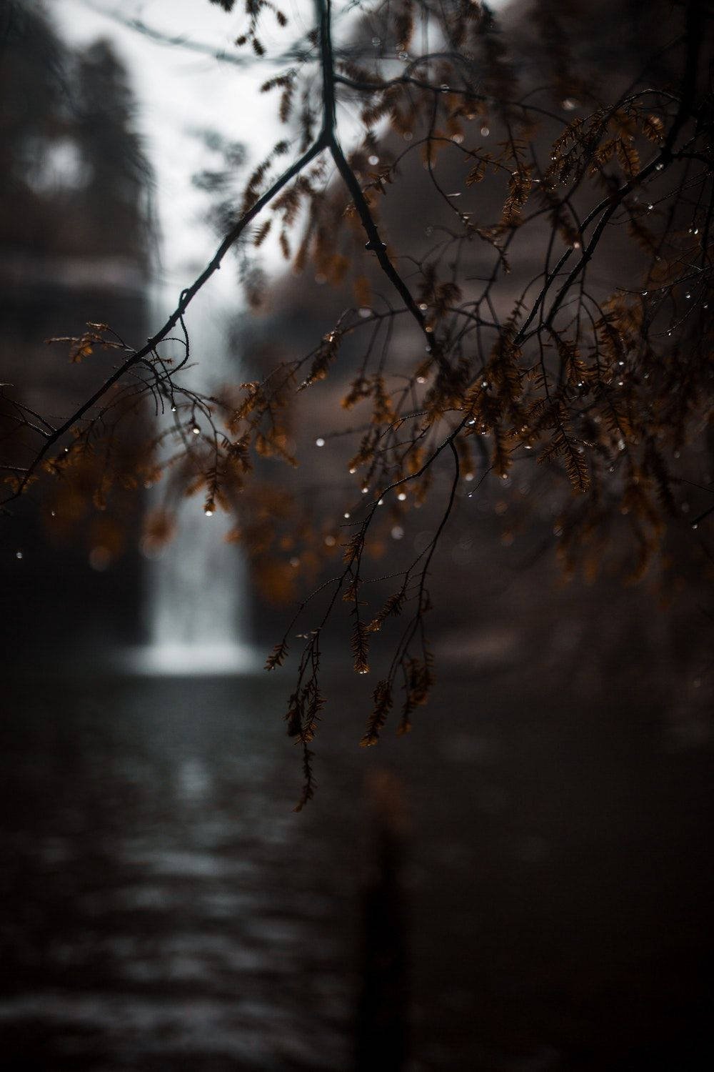 Осень грусть