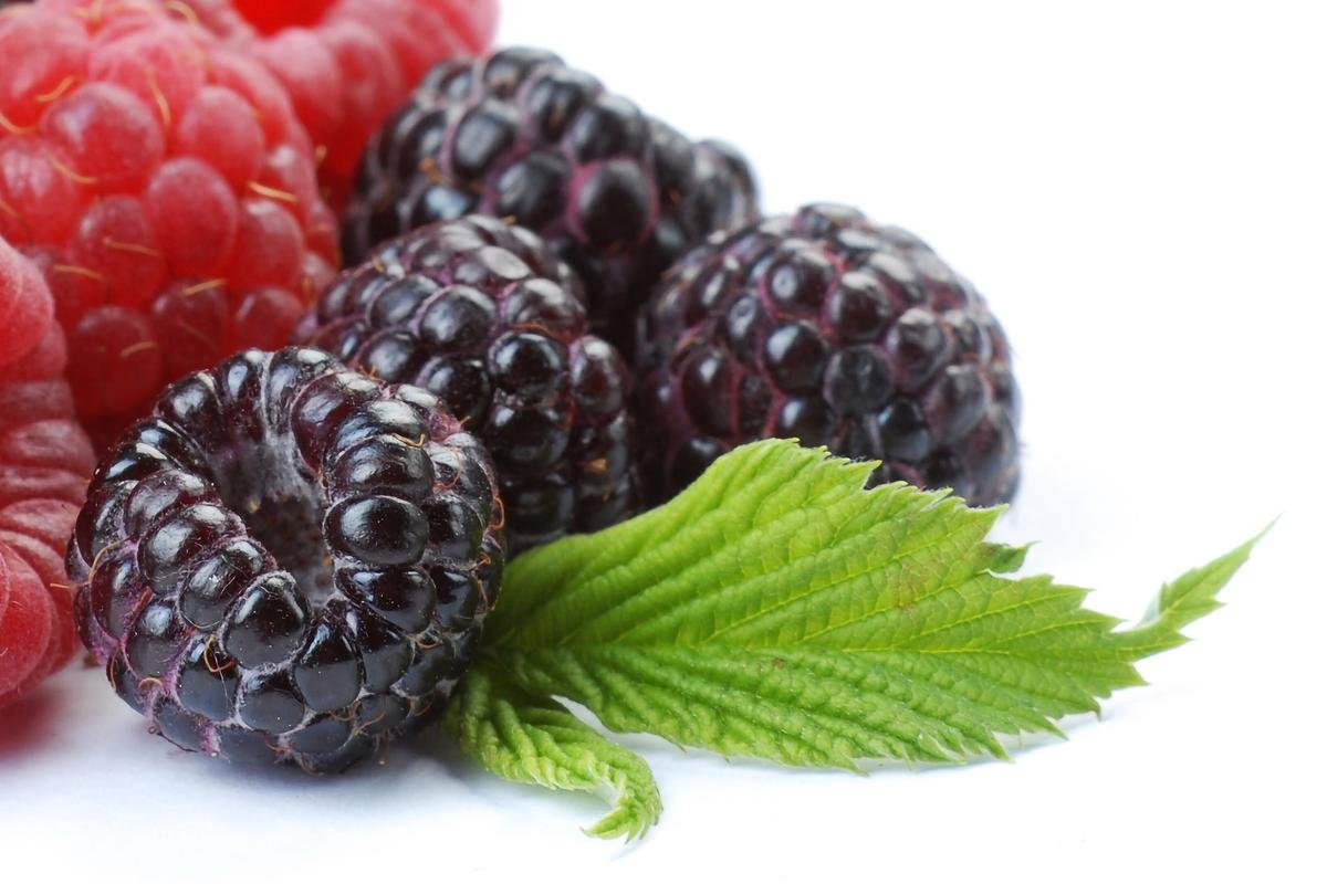 Black Raspberry