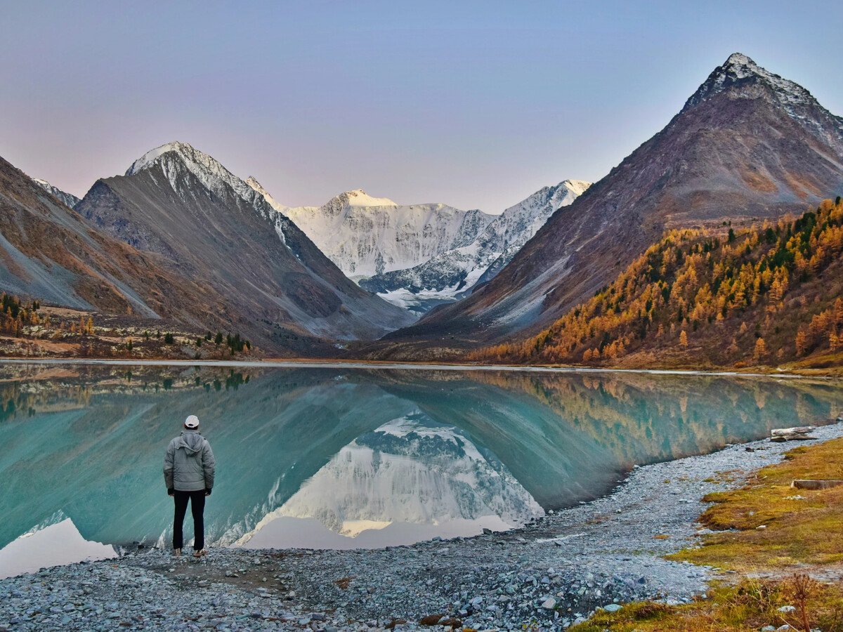 Белухи Камчатка