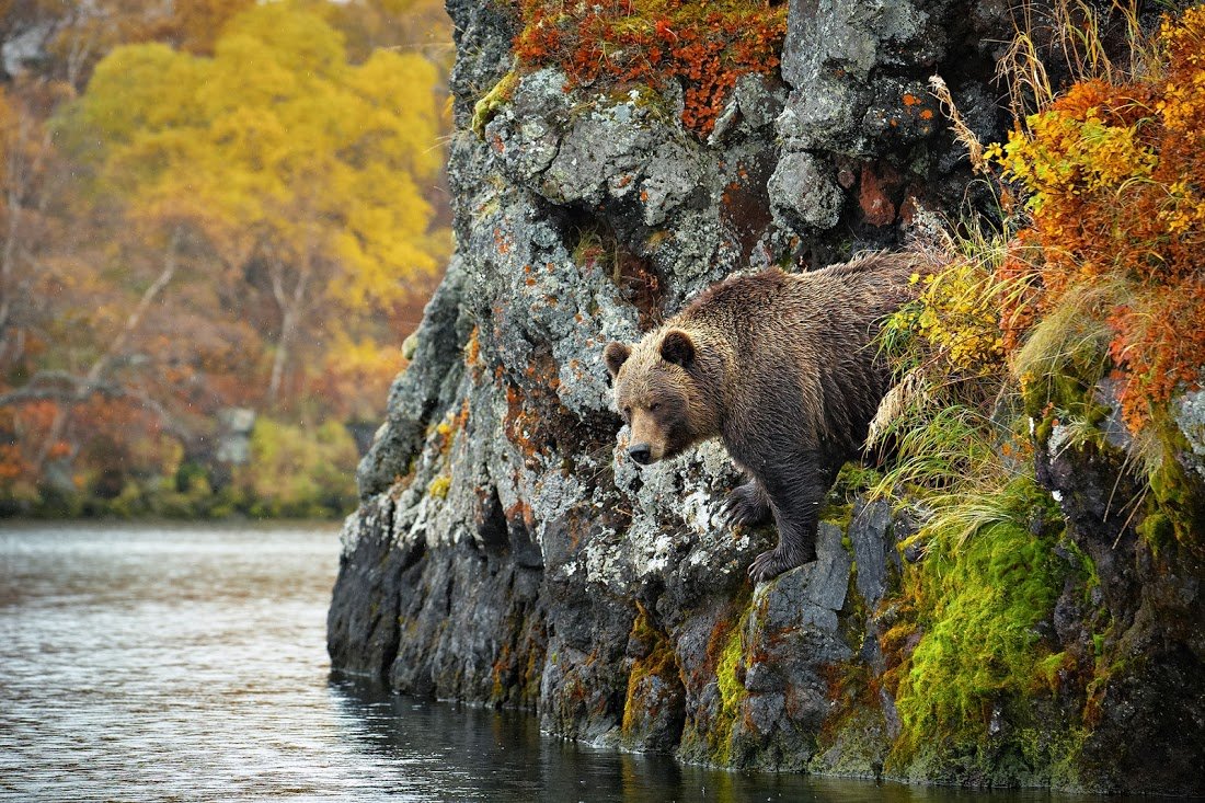 Саманг Камчатка