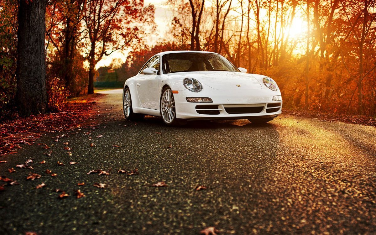 Porsche 911 Carrera 1920