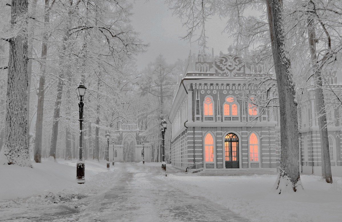 Усадьба Царицыно Москва зимой