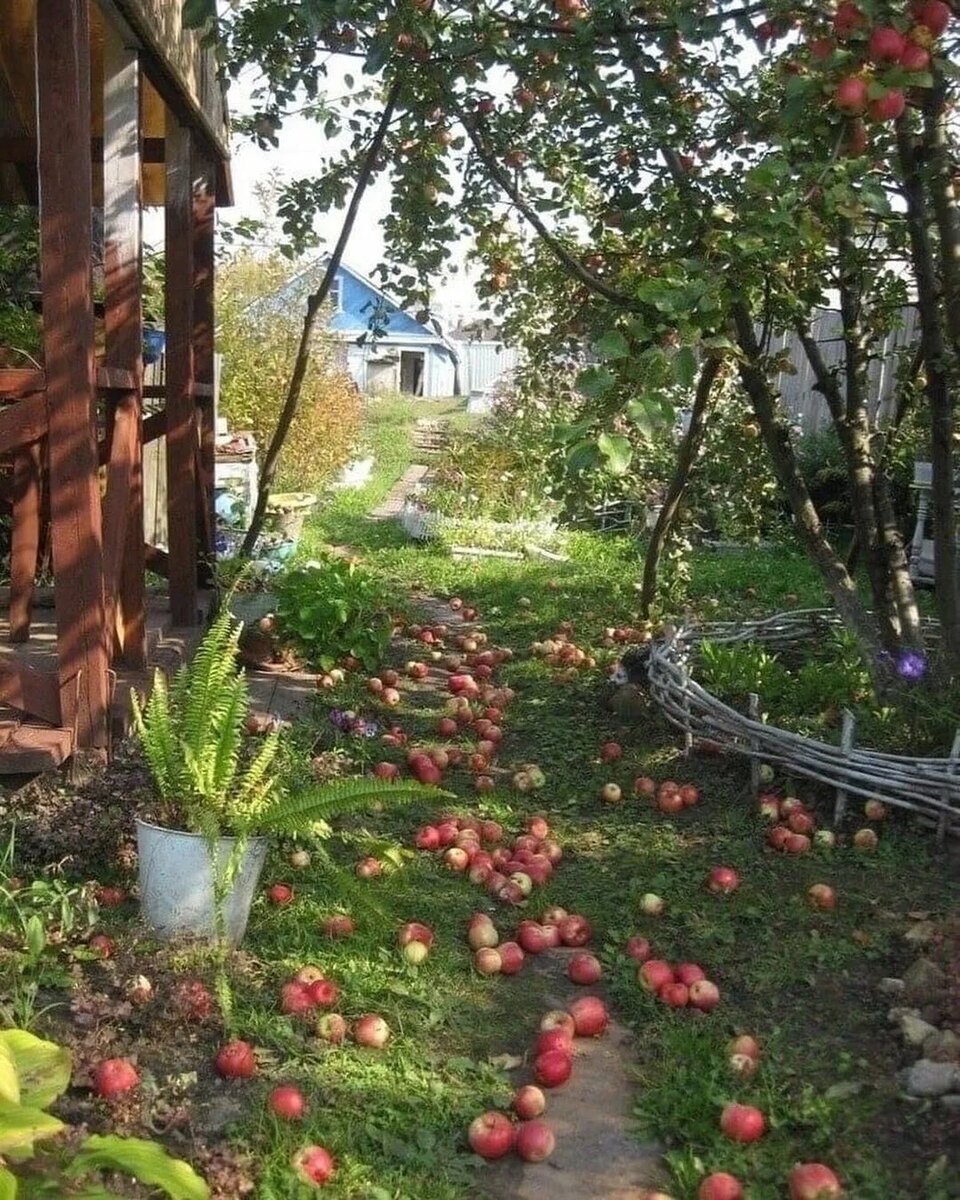 Дом с фруктовым садом