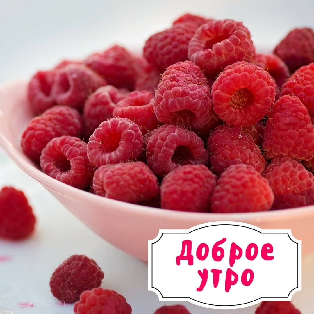 Сладкая малина