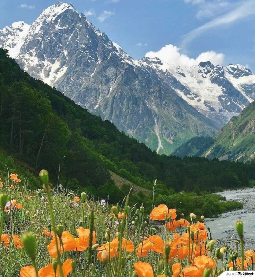 Кабардино-Балкария Архыз