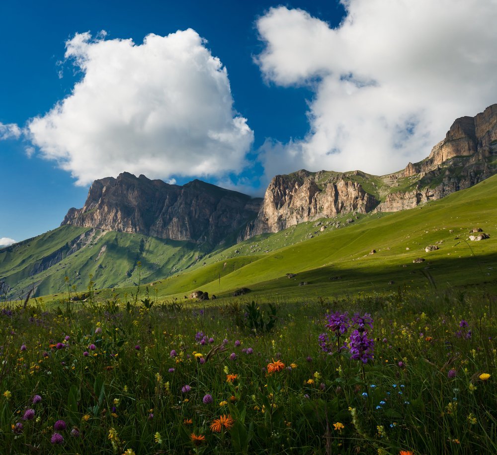 Актопрак Кабардино Балкария
