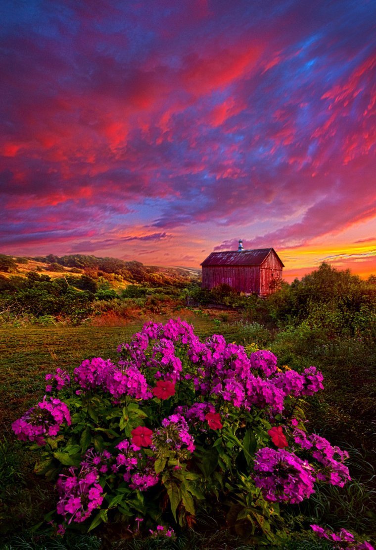 Яркая природа