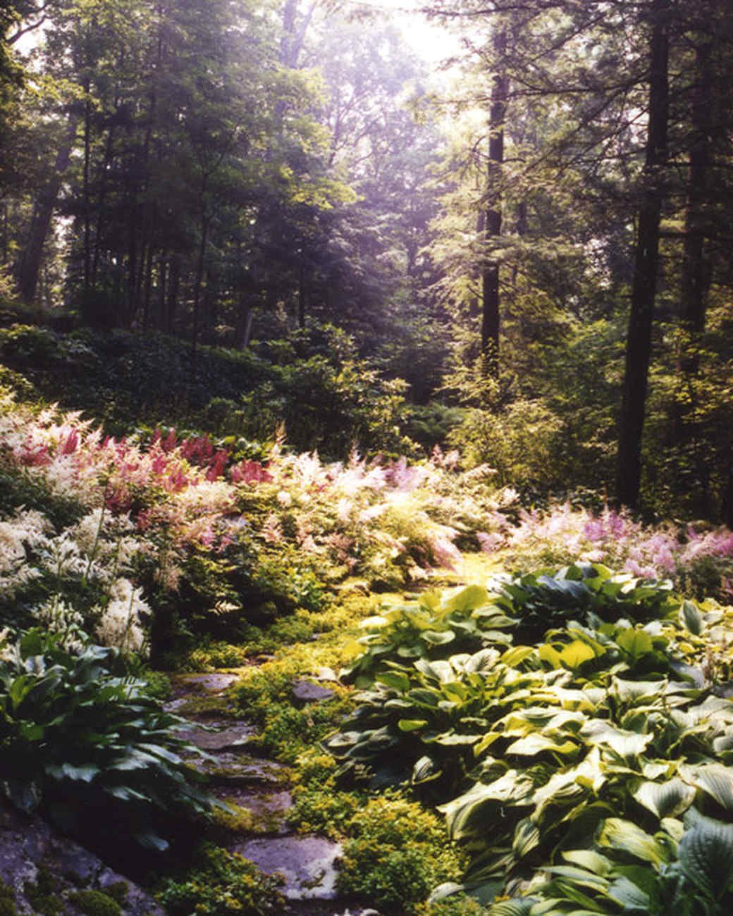 Wild Garden