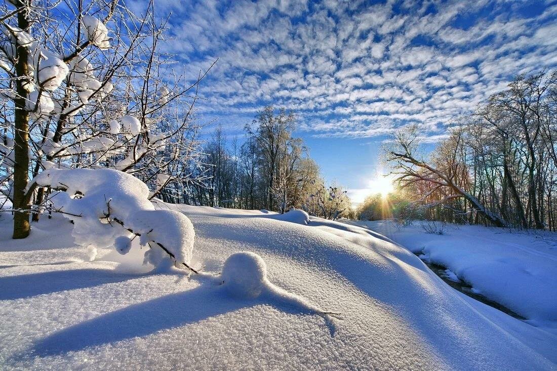 Февральская зима