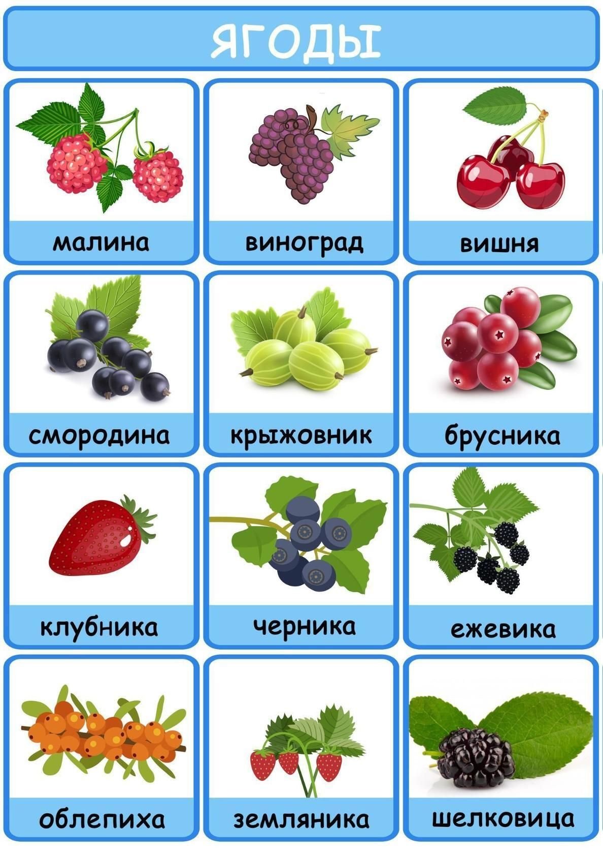 Карточки ягоды для детей