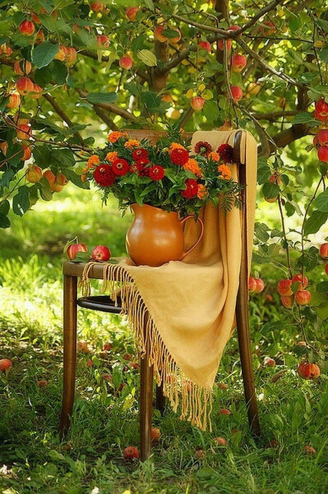 Август природа