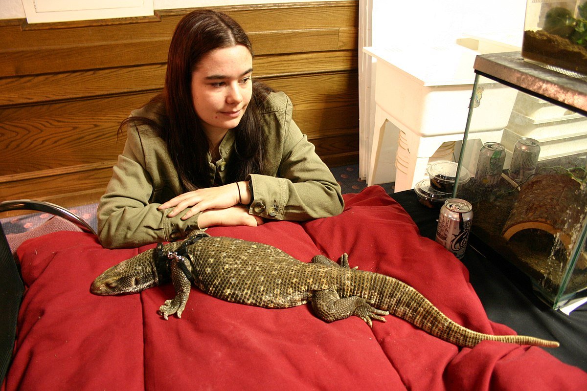 Капский Варан и человек