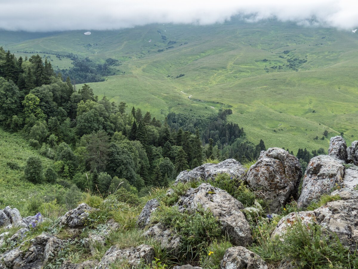 Горы Лагонаки Фото Краснодарский Край