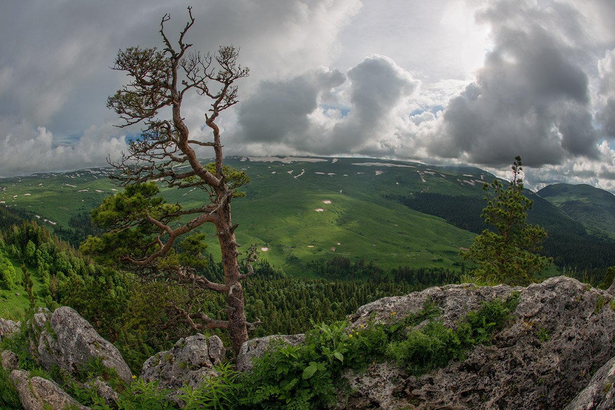 Гора плато Лаго-Наки Адыгея
