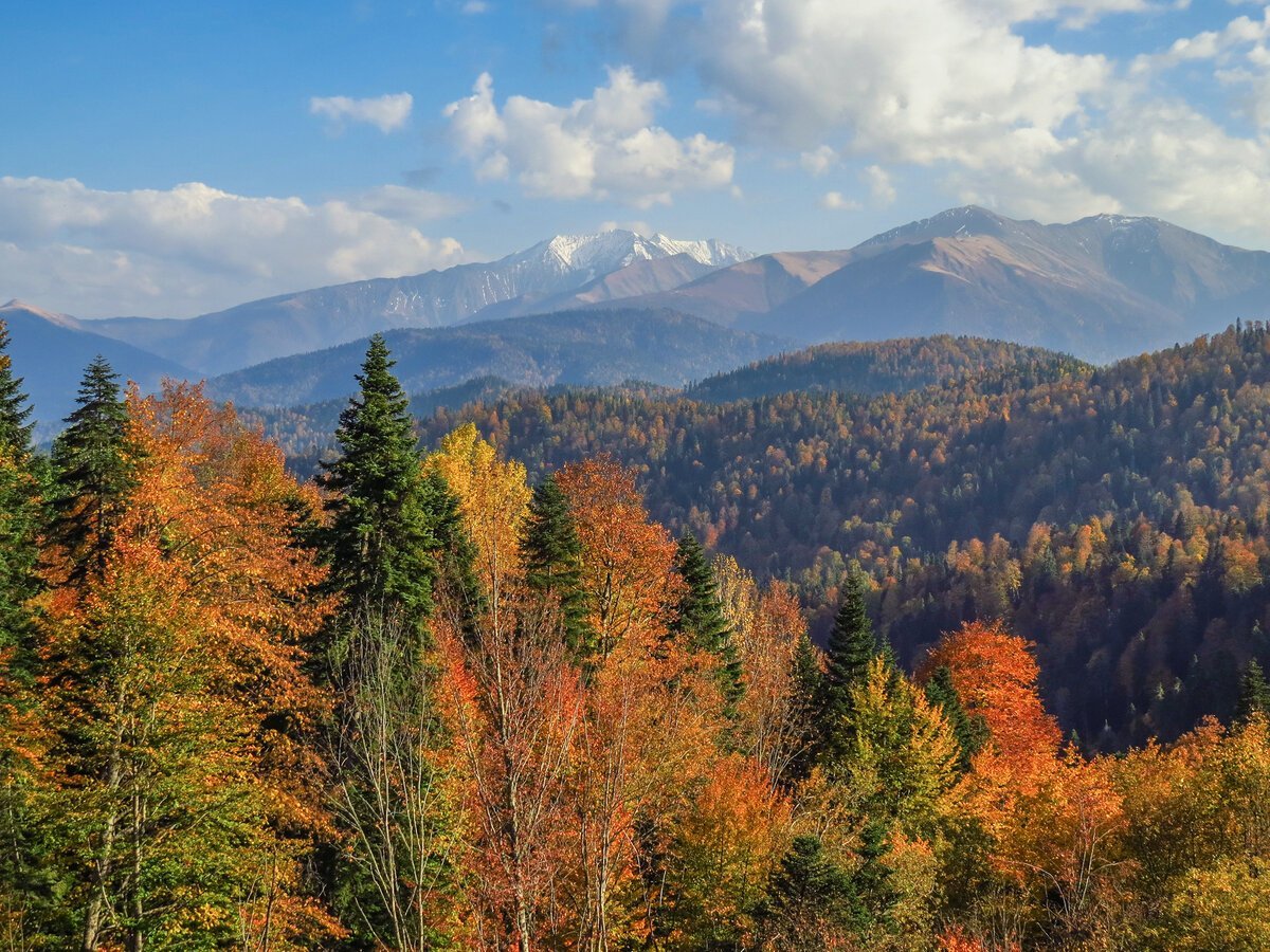 Осень в горах Адыгеи