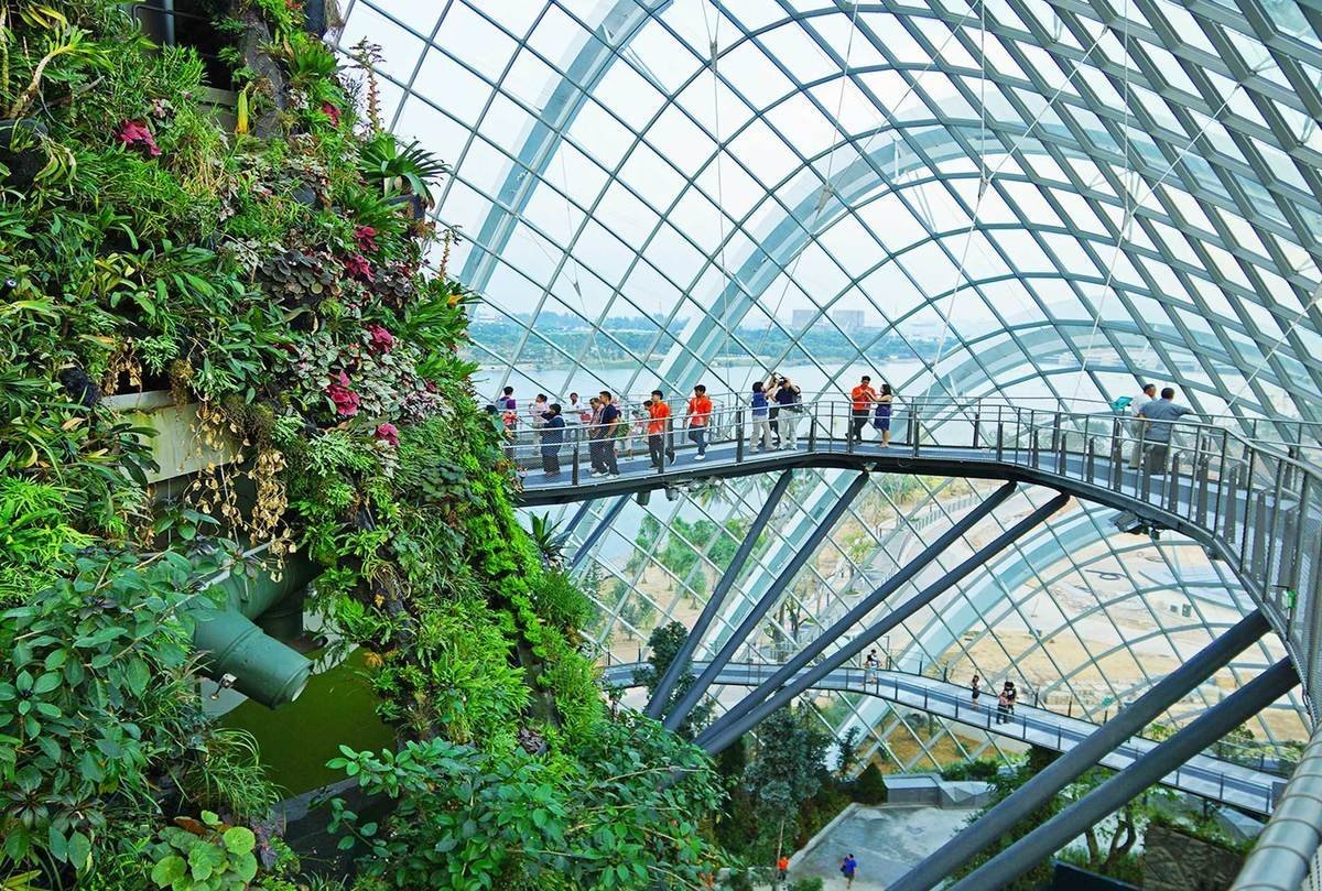 Сингапур оранжерея cloud Forest