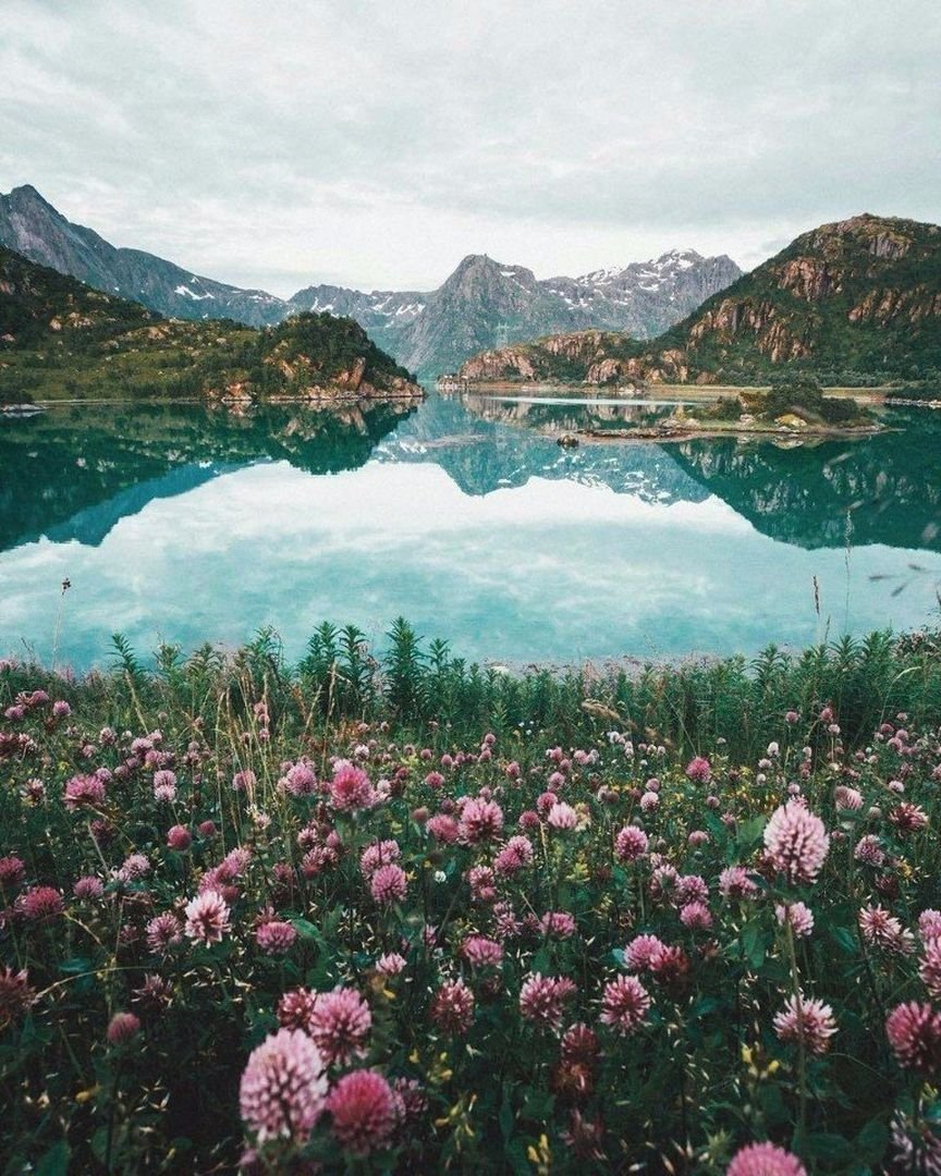Фильмы с красивыми пейзажами