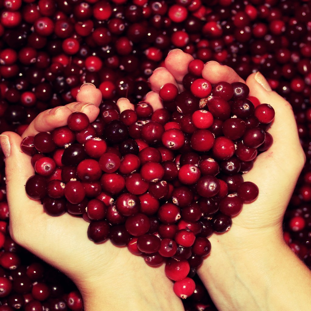 Cranberries ягода