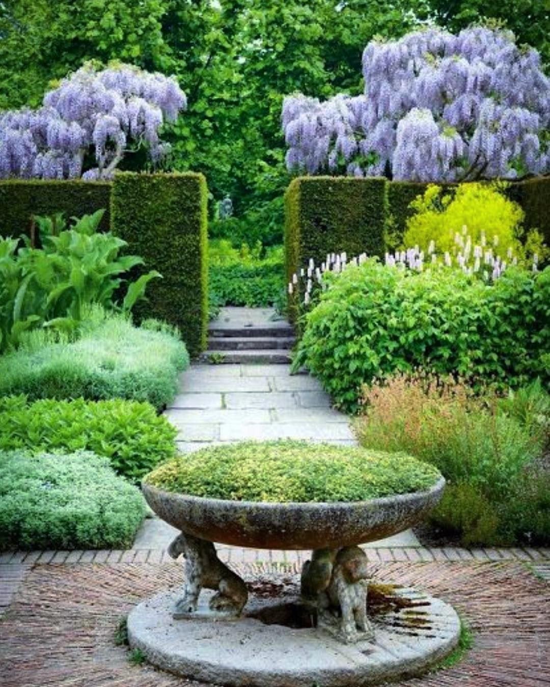 Гарден сад Garden Sad
