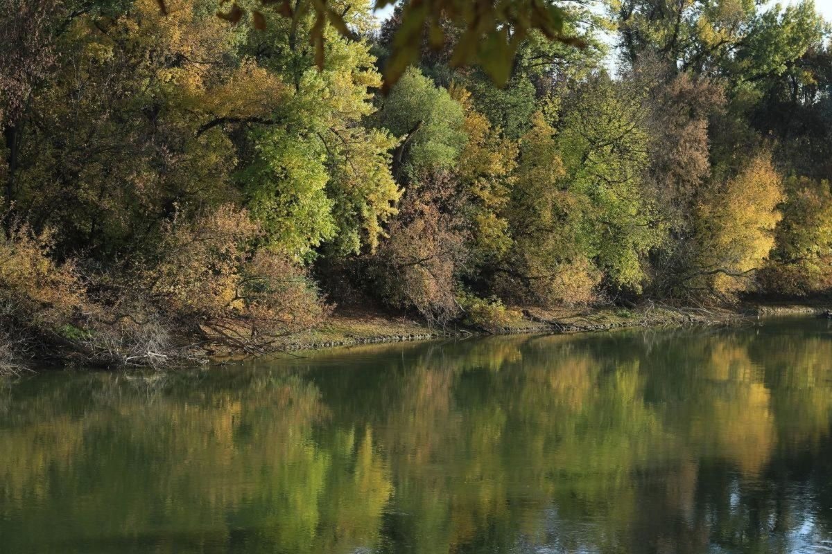 Hungary Landscapes