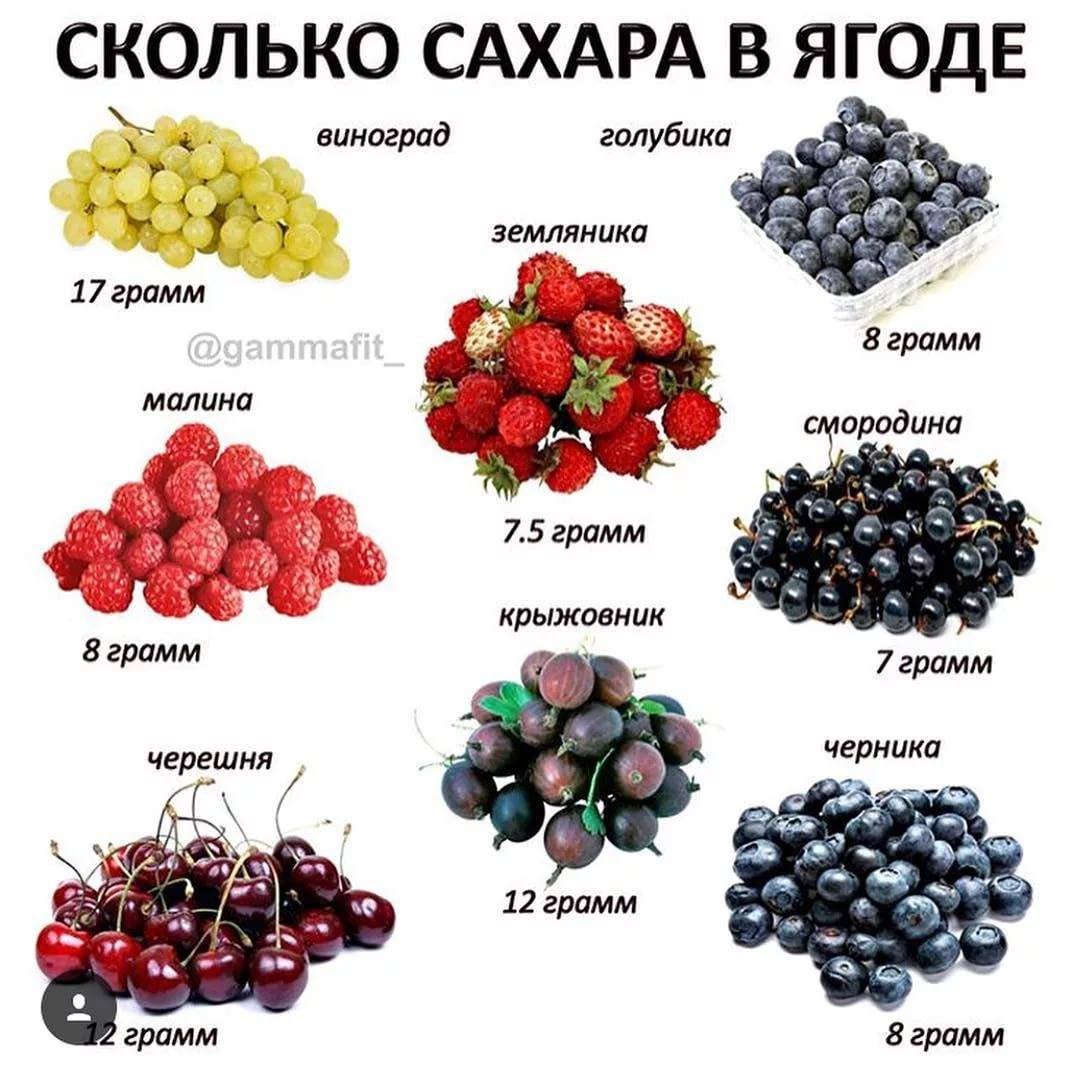 Садовые ягоды названия