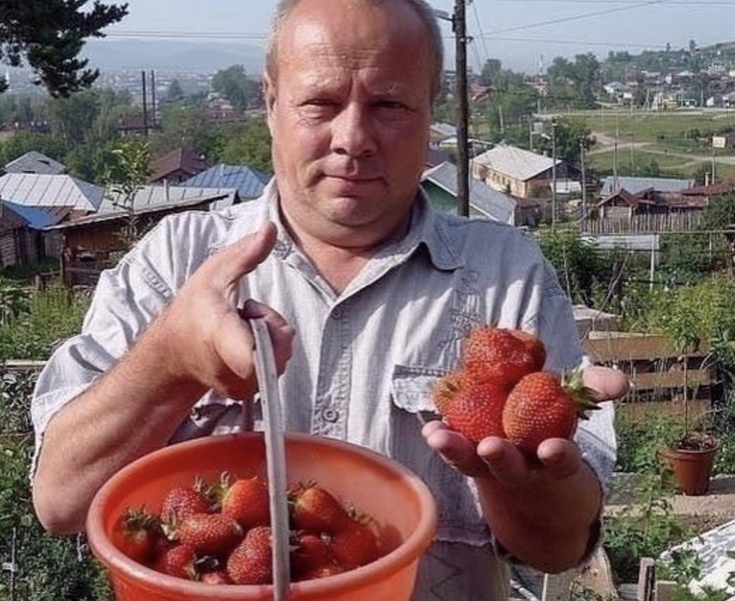 Мужик в огороде с клубникой