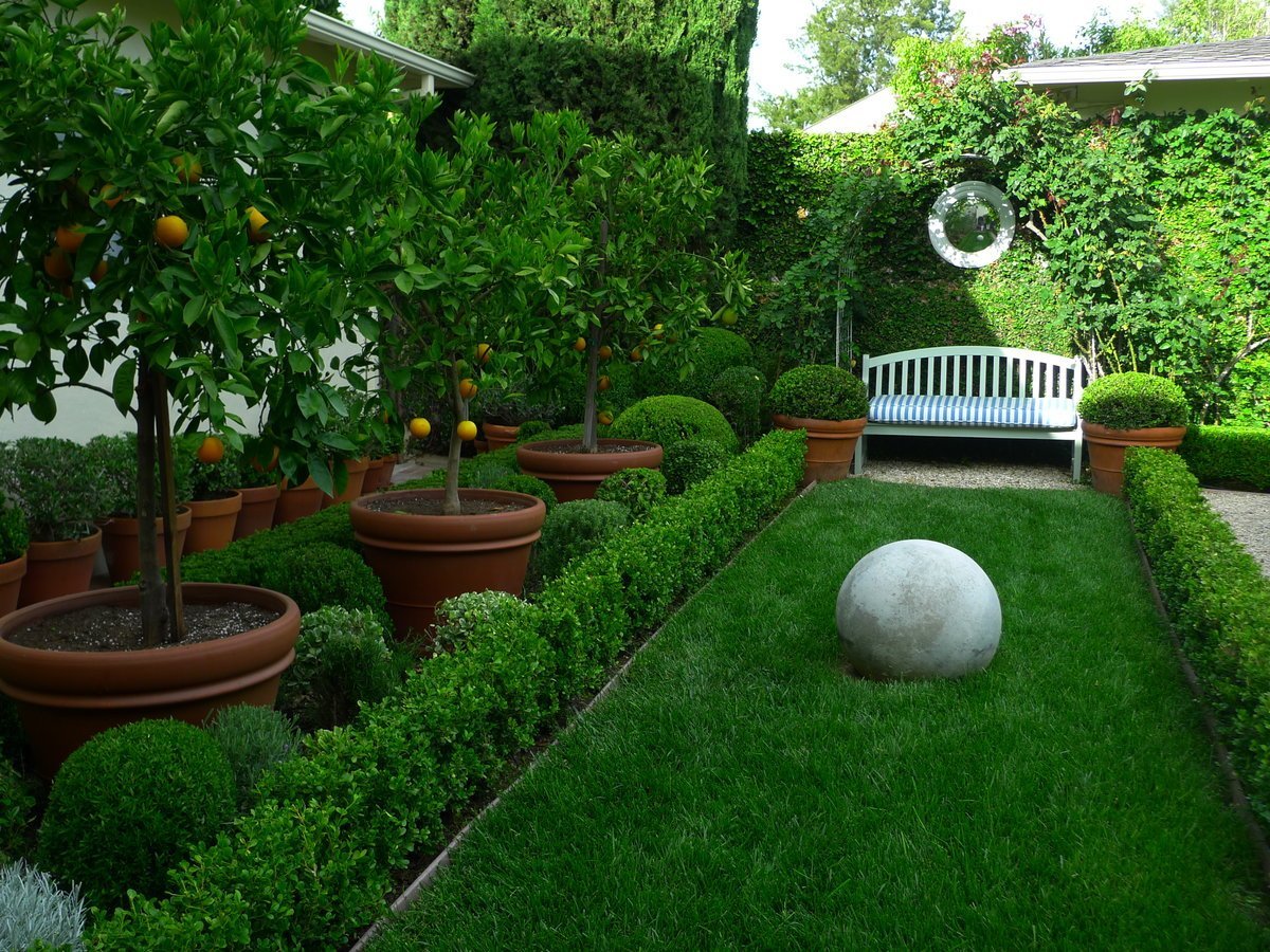 Ландшафтный дизайн фруктового сада