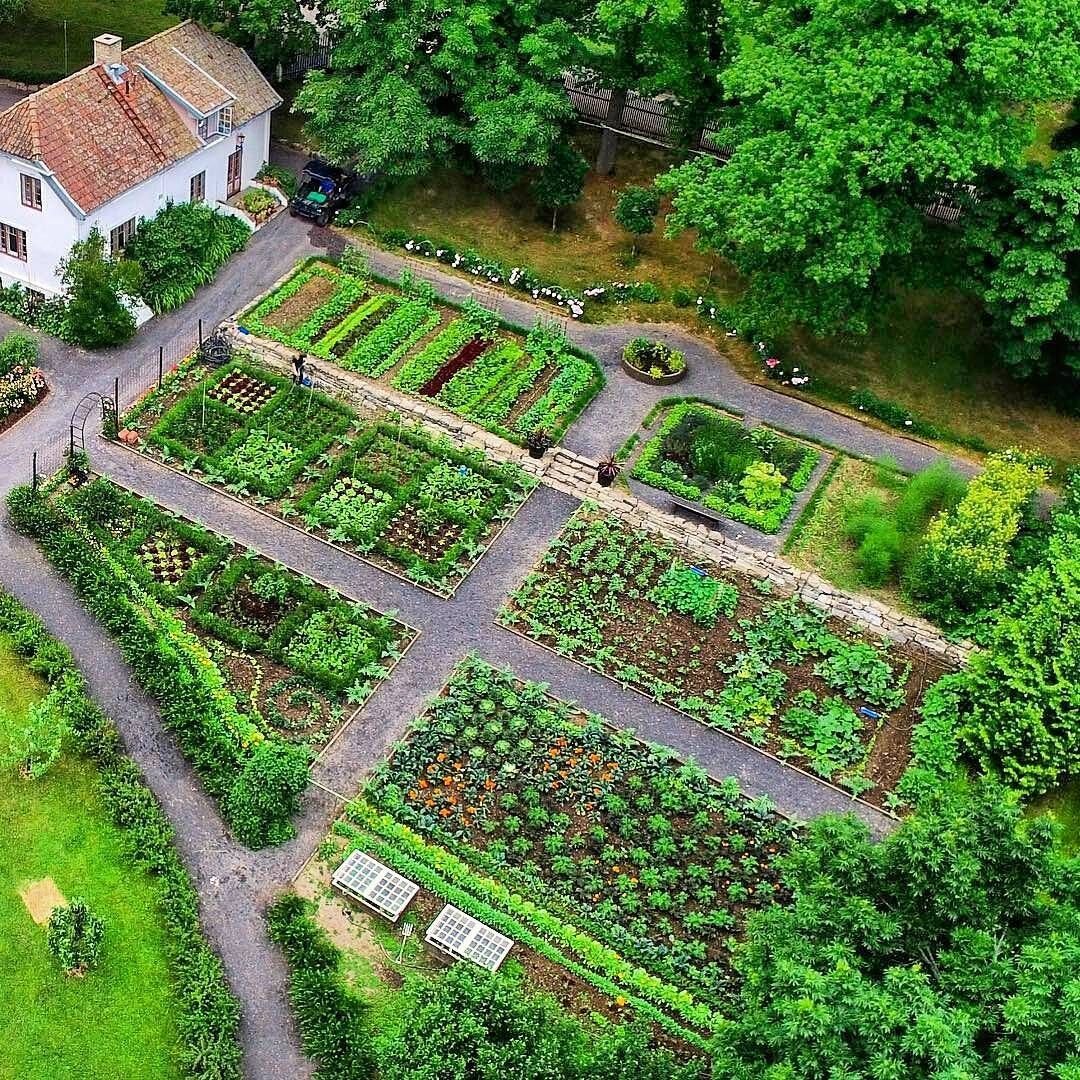 Пермакультура Англия