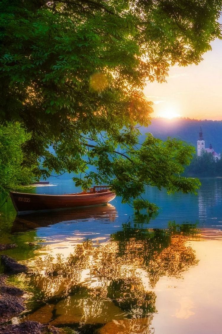 Спокойная природа
