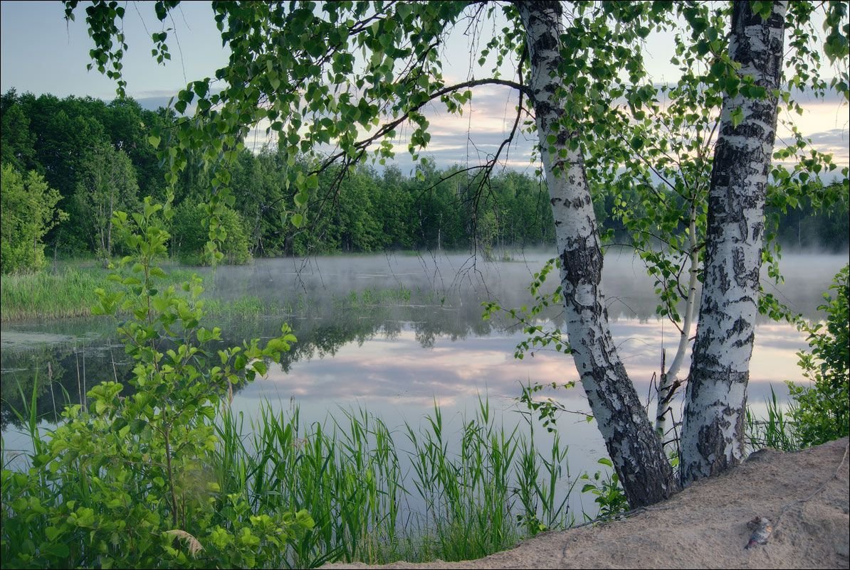 Русь река береза