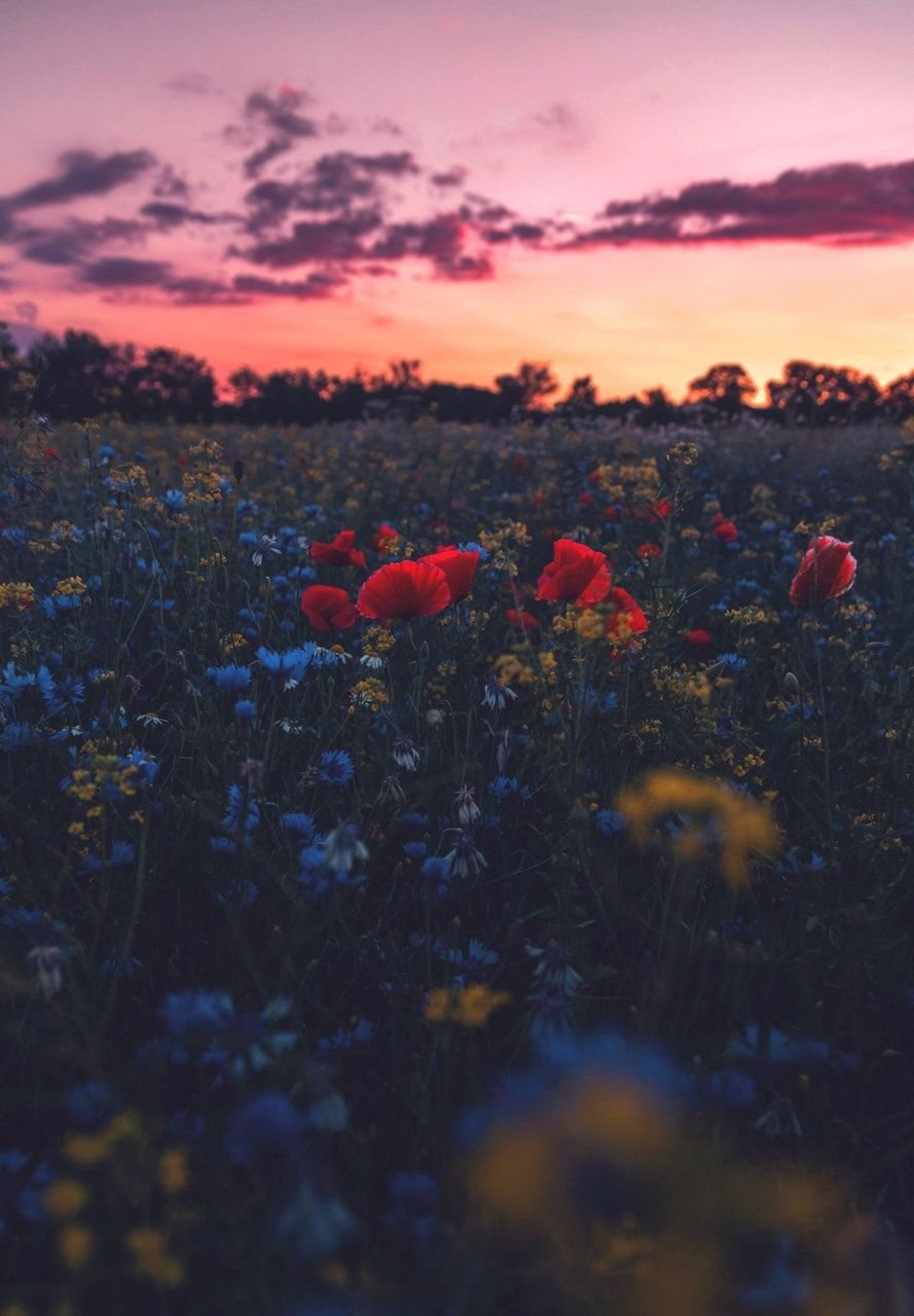 Тумблер природа