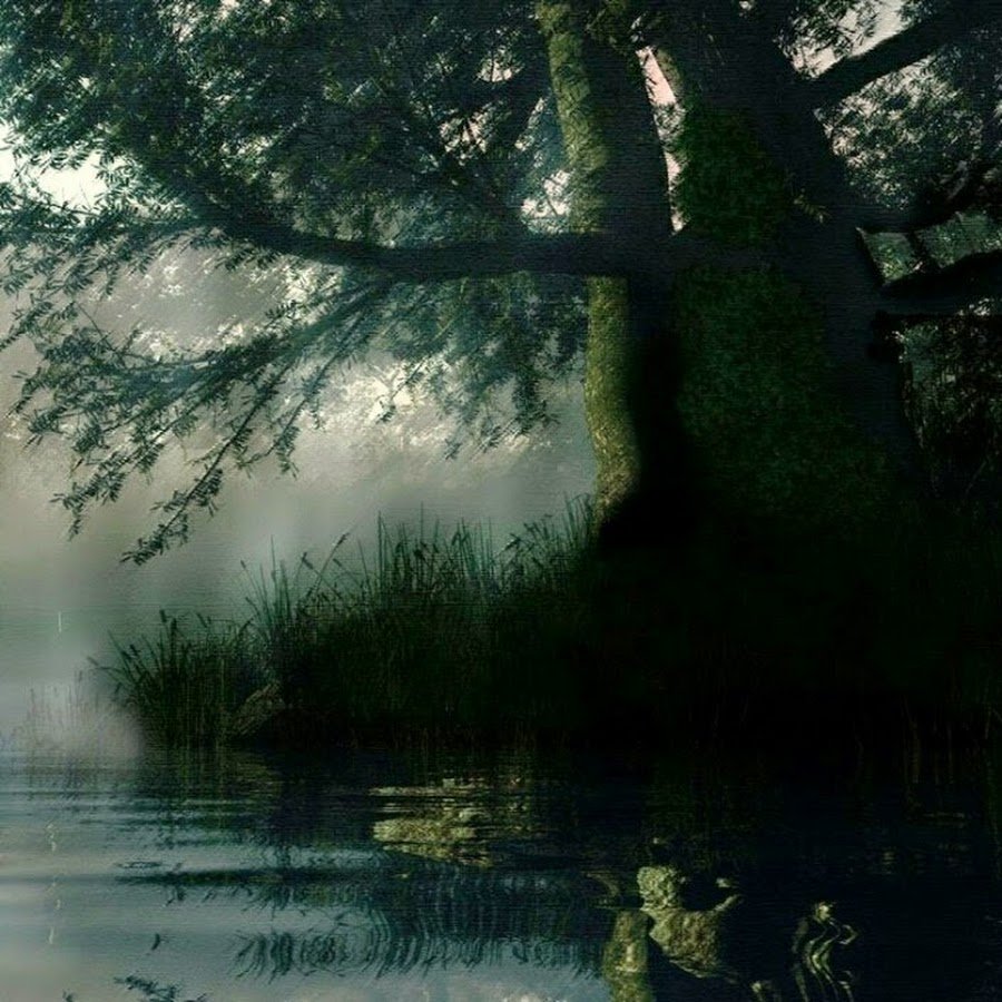 Misty River